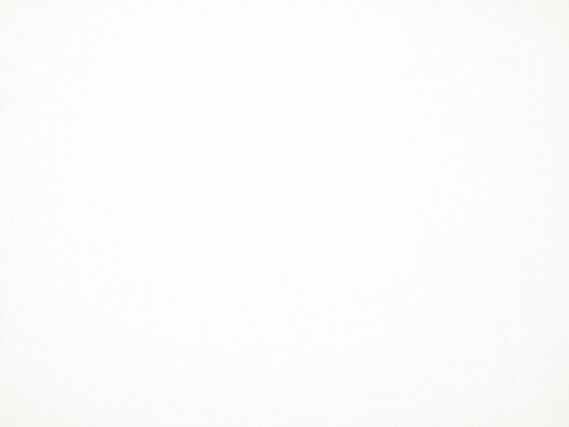 Rio - Creme - Scalamandre Fabric