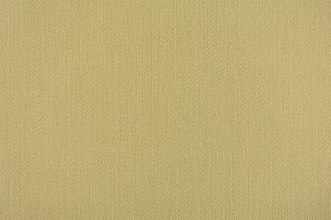 Rio - Gooseberry - Scalamandre Fabric