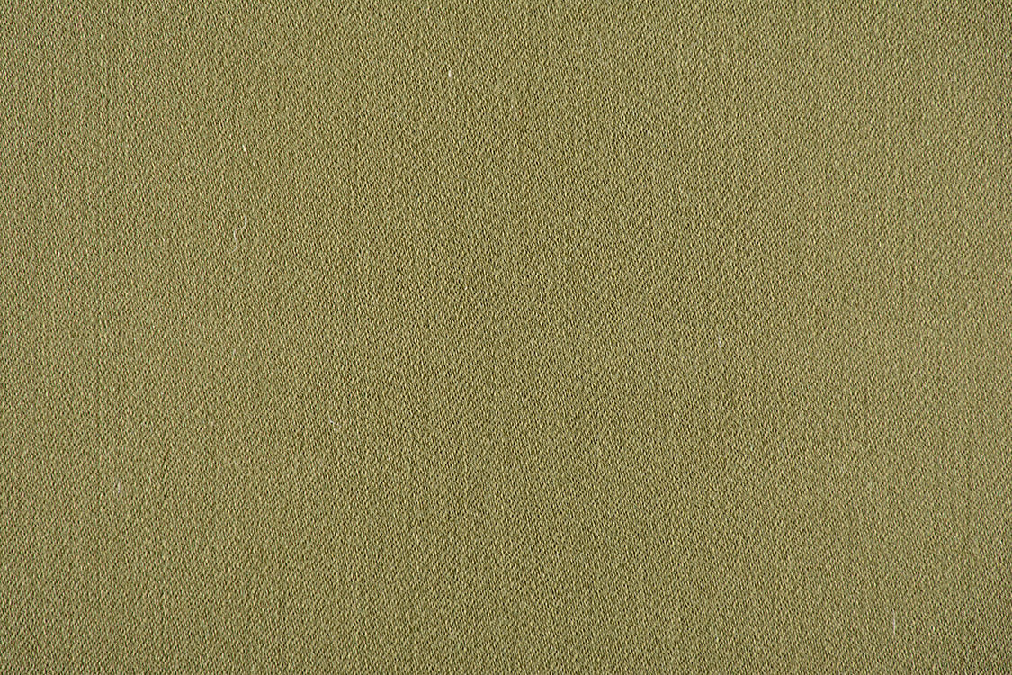 Rio - Moss - Scalamandre Fabric
