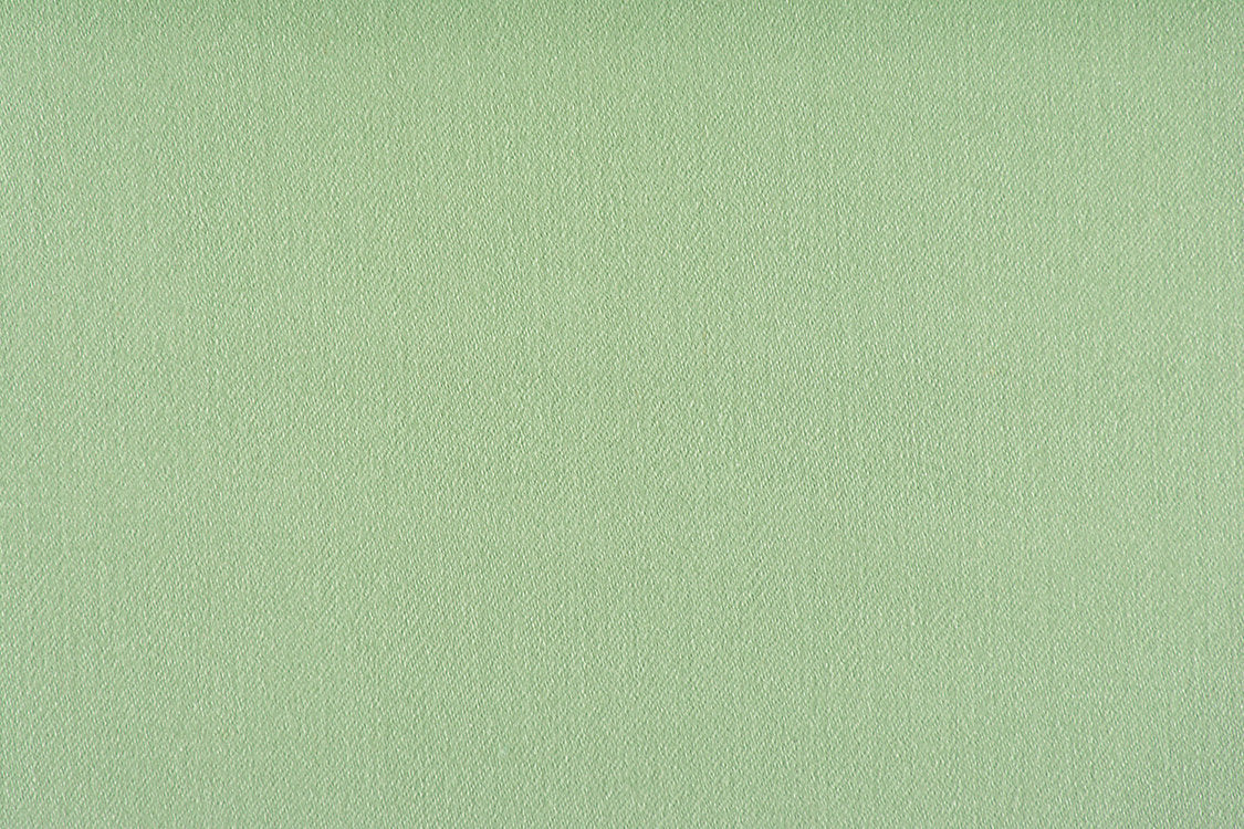 Rio - Wintergreen - Scalamandre Fabric