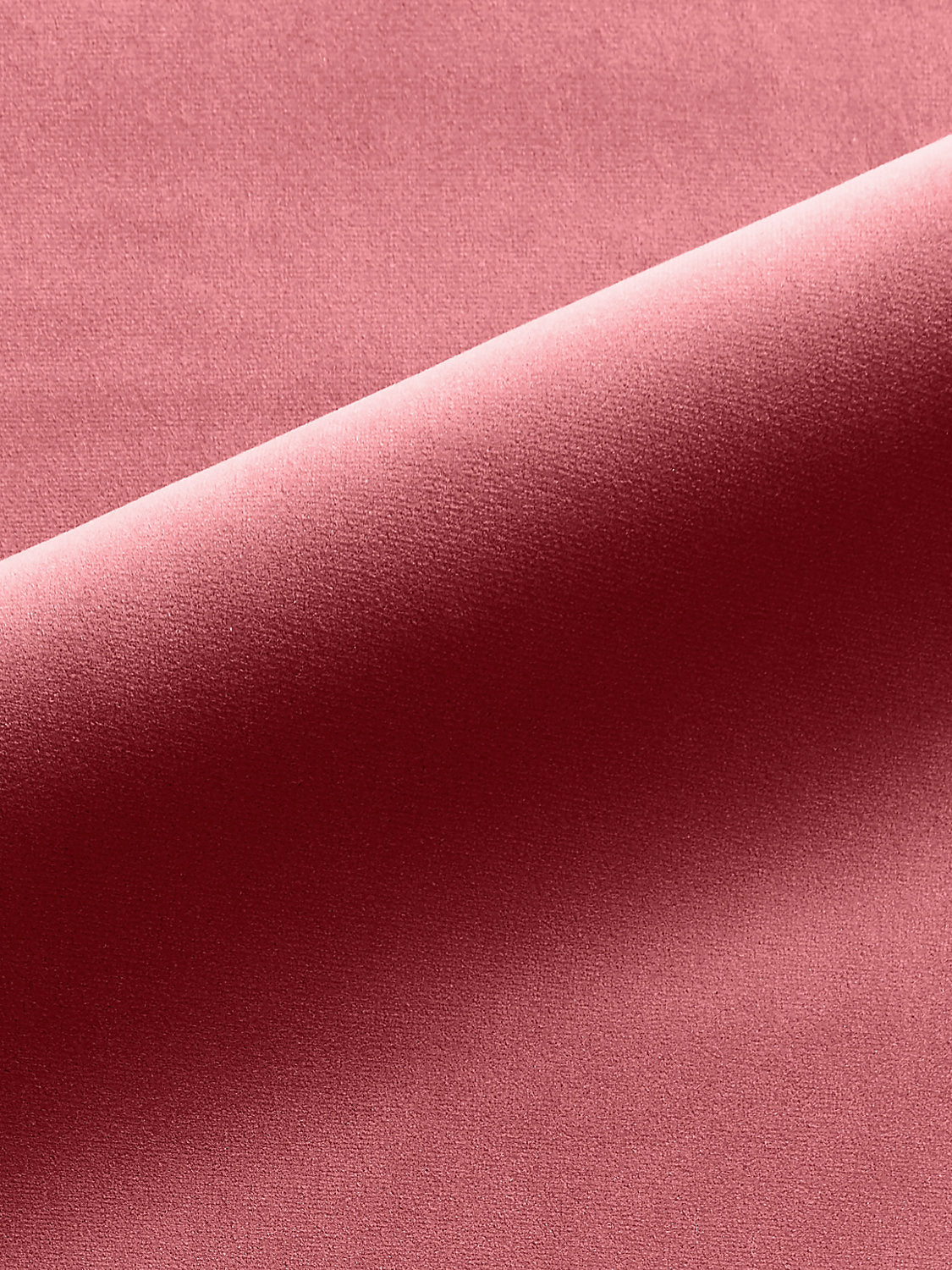 Linley - Tea Rose - Scalamandre Fabric