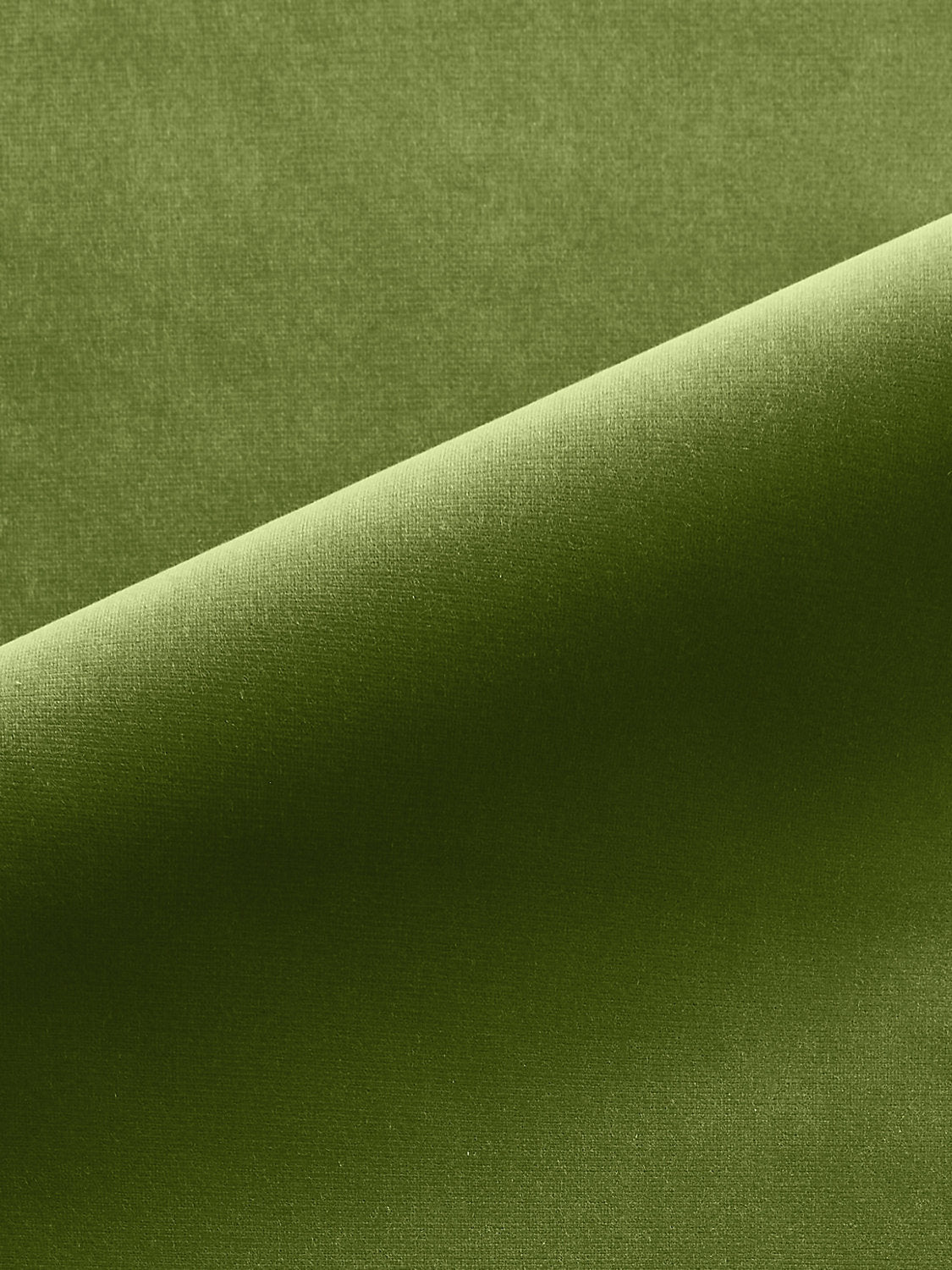 Linley - Avocado - Scalamandre Fabric