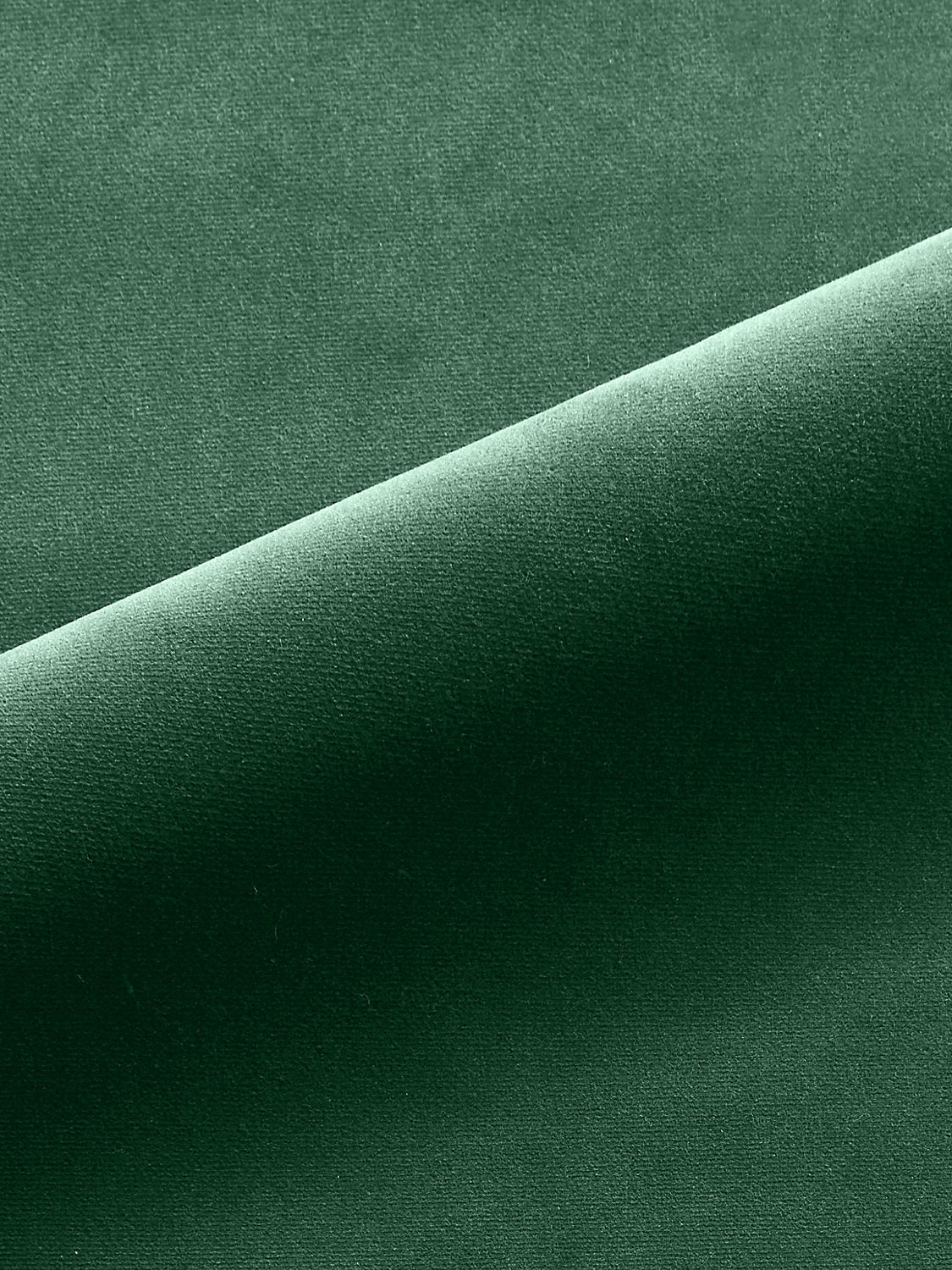 Linley - Forest Green - Scalamandre Fabric