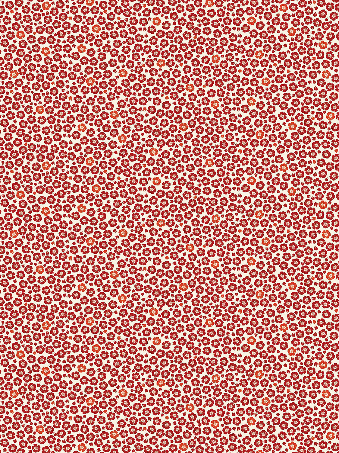 Coquelicot - Rouge