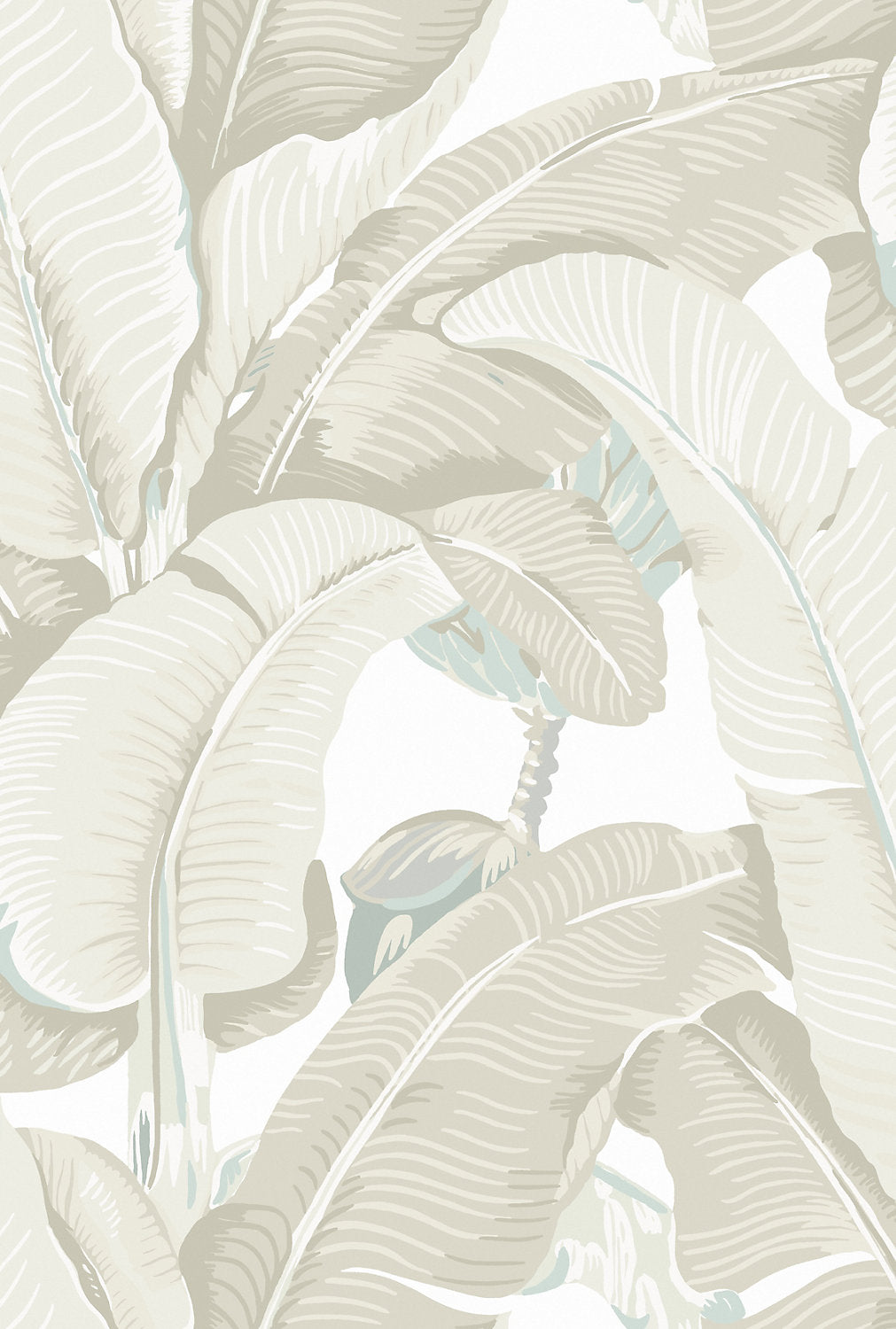 HINSON PALM PARCHMENT WHN 44000MD 0005 Scalamandre Wallcovering - Scalamandre Wallpaper