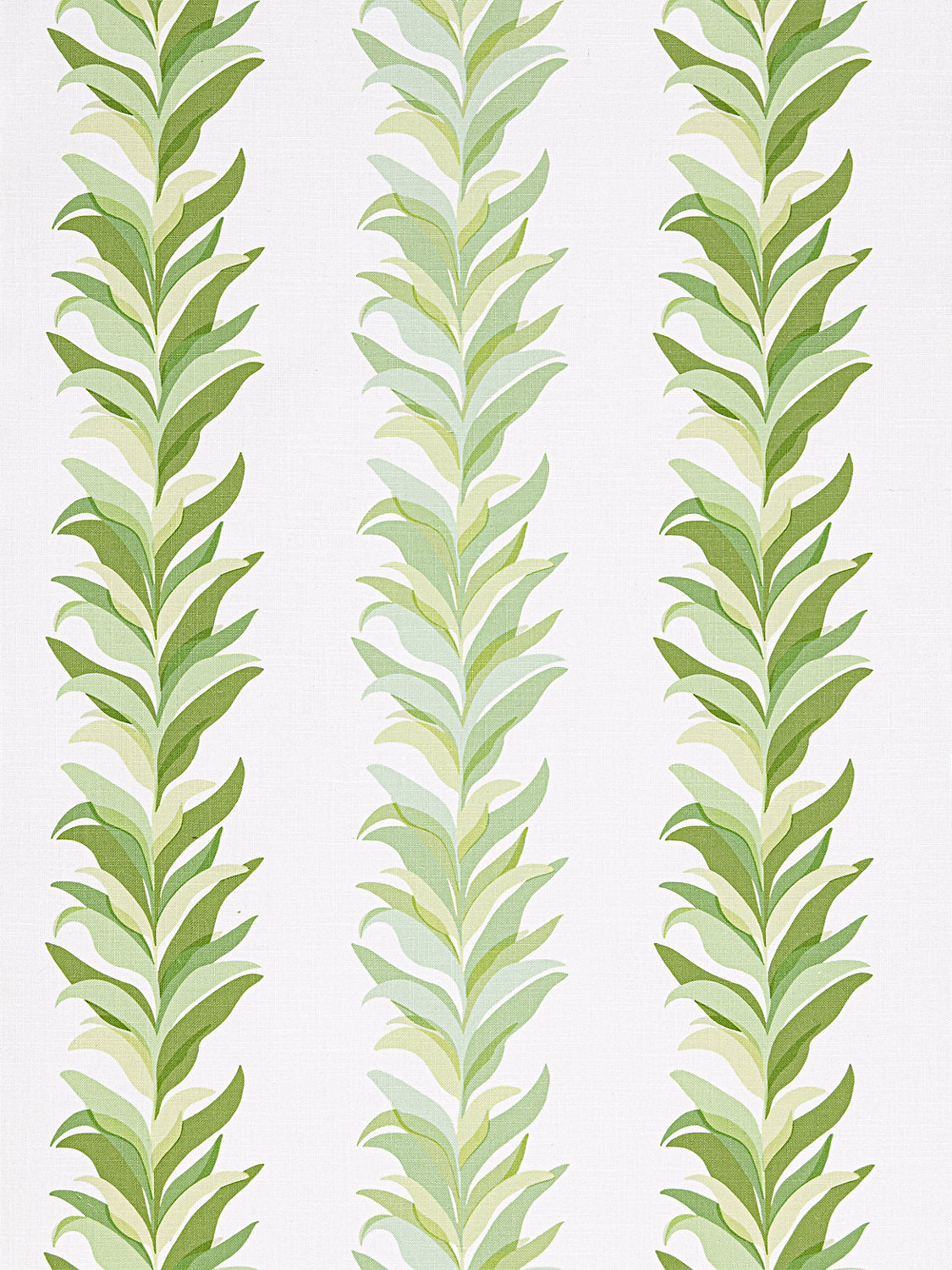 Chira Island - Leaf