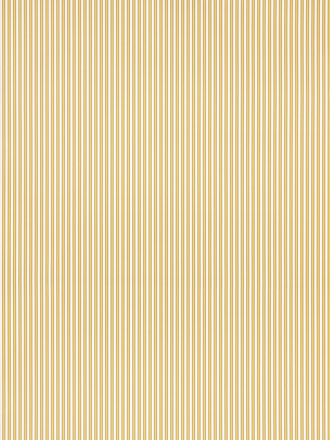 Wilson Stripe - Turmeric