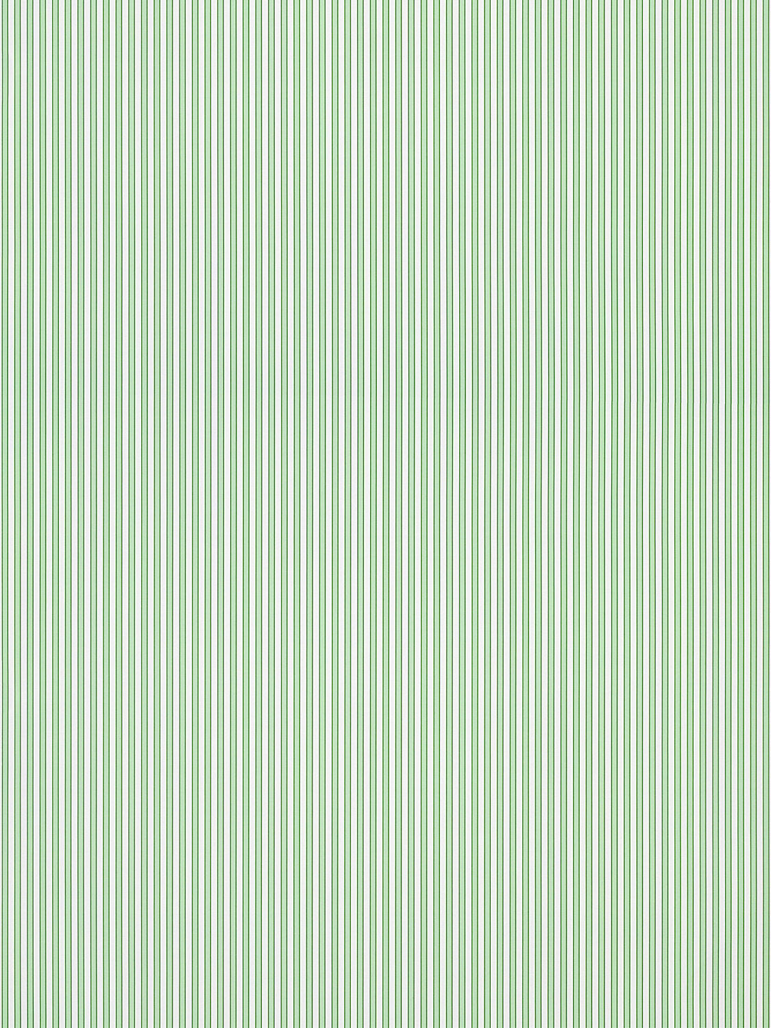 Wilson Stripe - Mint