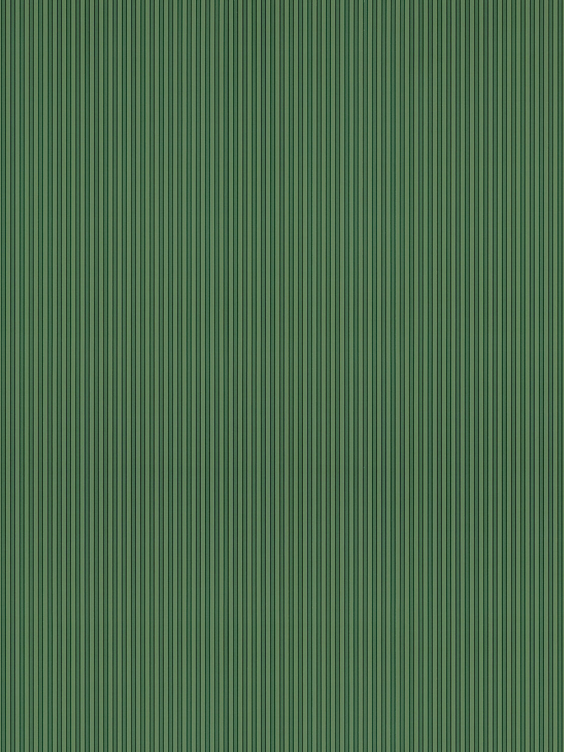 Wilson Stripe - Fern