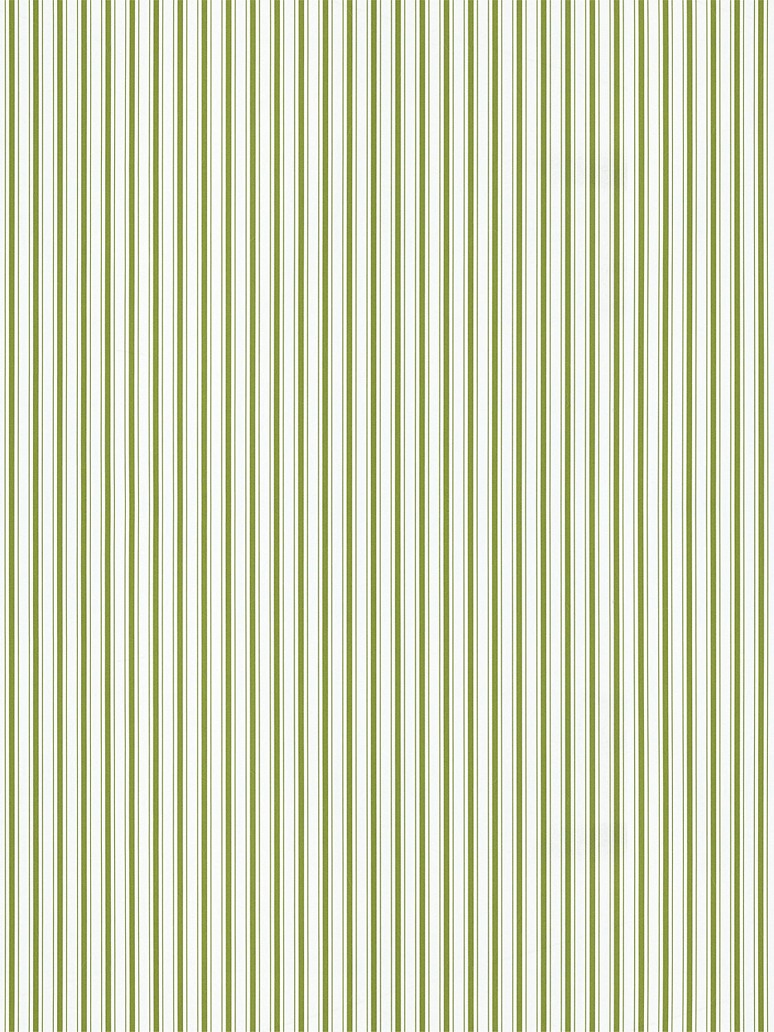 Johnson Stripe - Olive