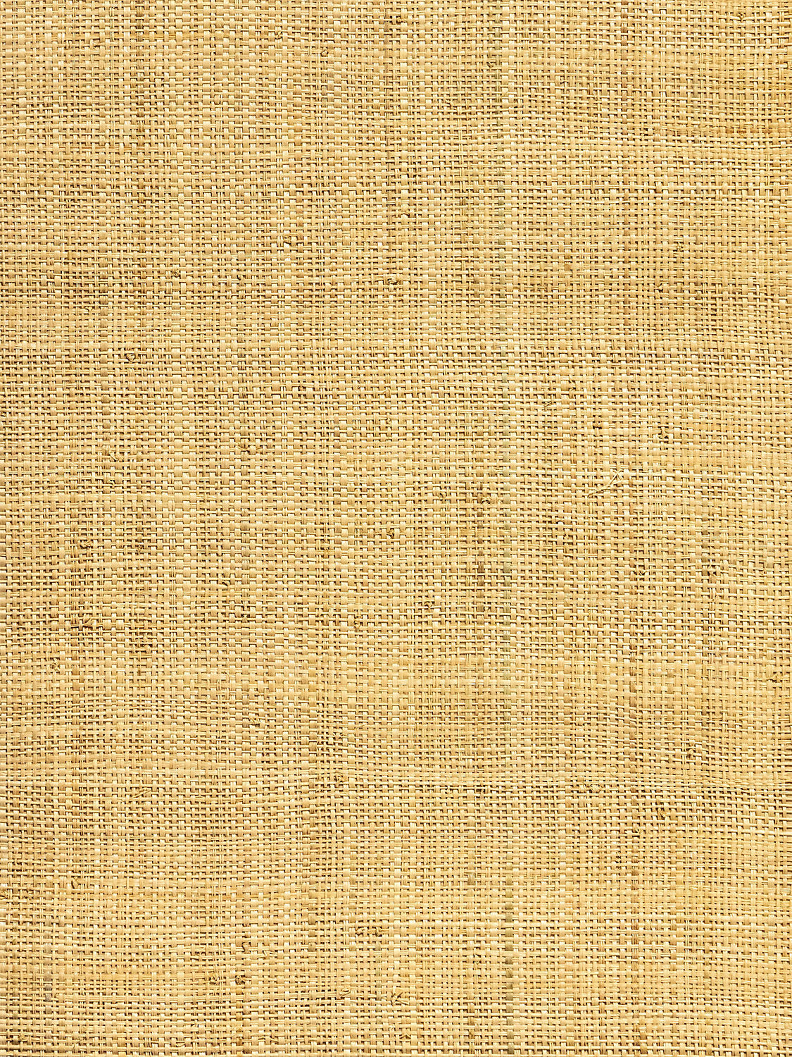 Hinson Madagascar - Fine - Natural - Scalamandre Wallpaper