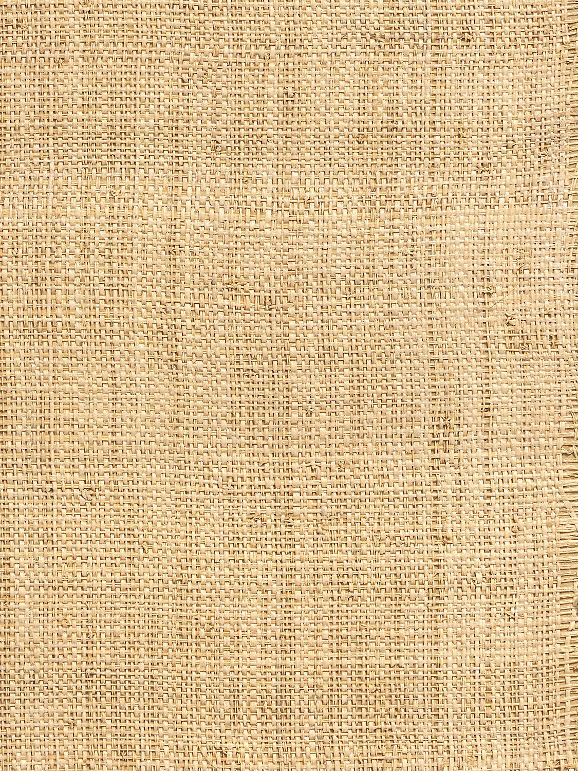 Hinson Madagascar - Coarse - Whitewashed - Scalamandre Wallpaper