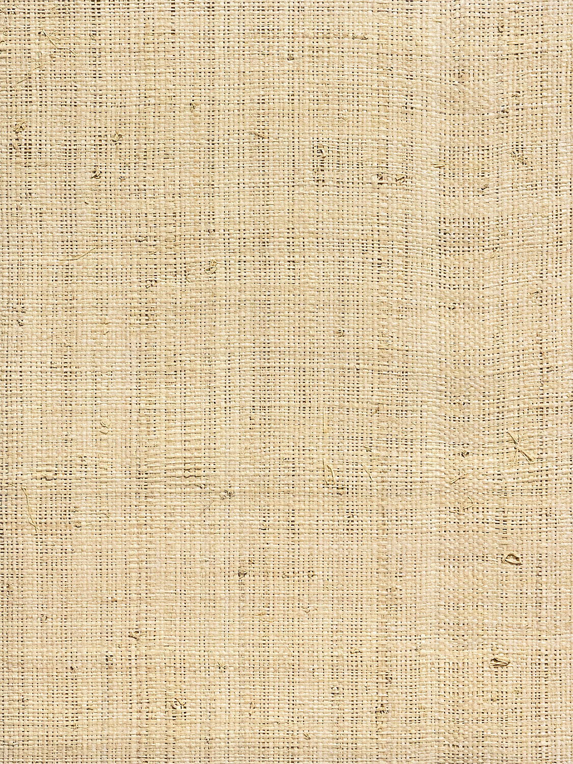 Hinson Madagascar - Fine - Whitewashed - Scalamandre Wallpaper