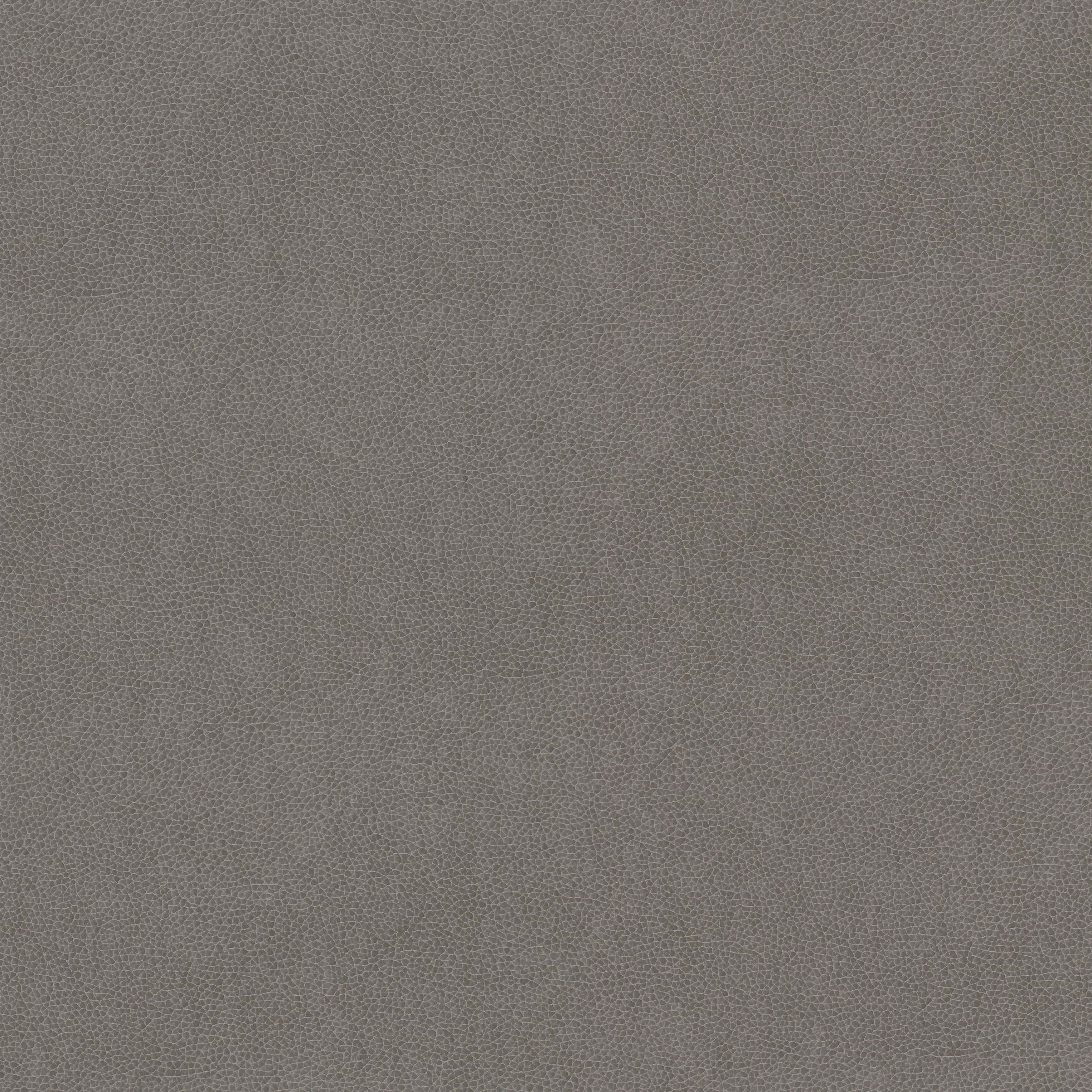 WILKINSON-2-DOVE-STOUT-TEXTILES - Stout Textiles Fabric