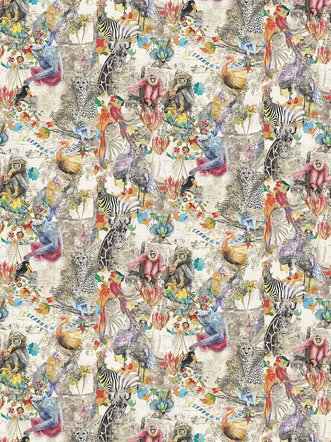 Mombo Rhapsody - Multi