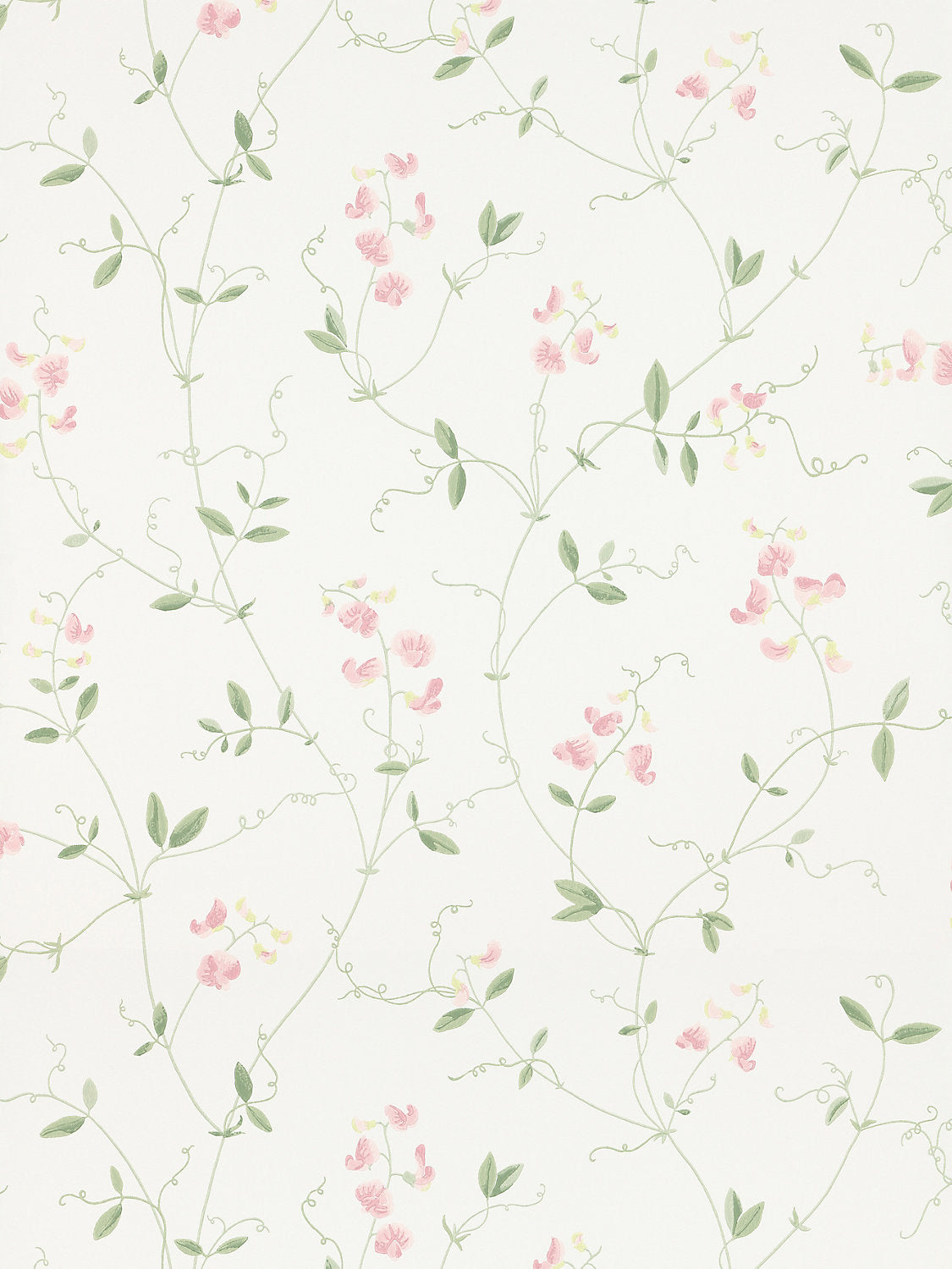 Sanna - Light Pink - Scalamandre Wallpaper