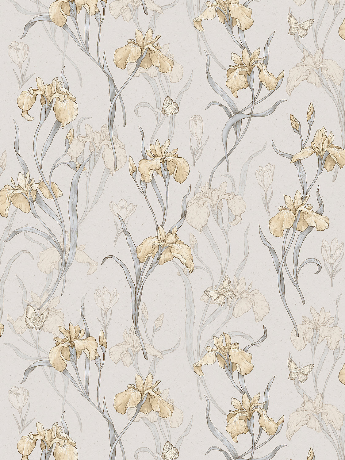 Iris - Amber