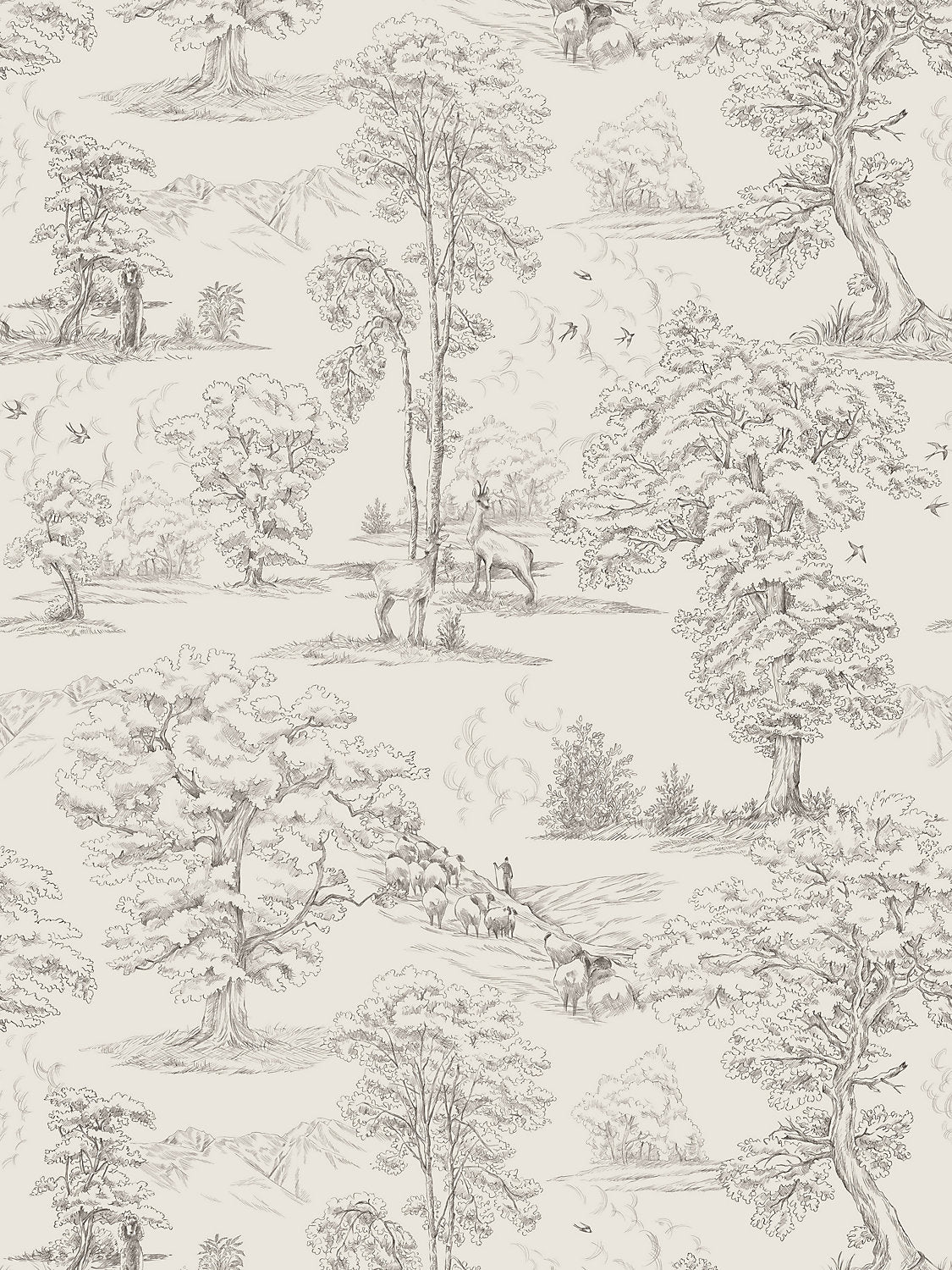Montfort - Graphite
