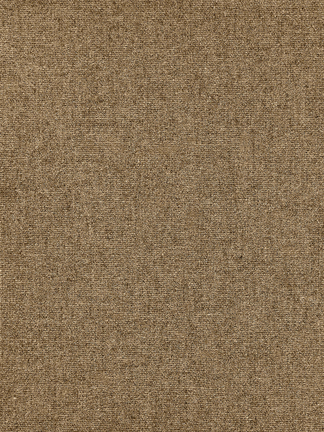 Bradford Wool - Latte
