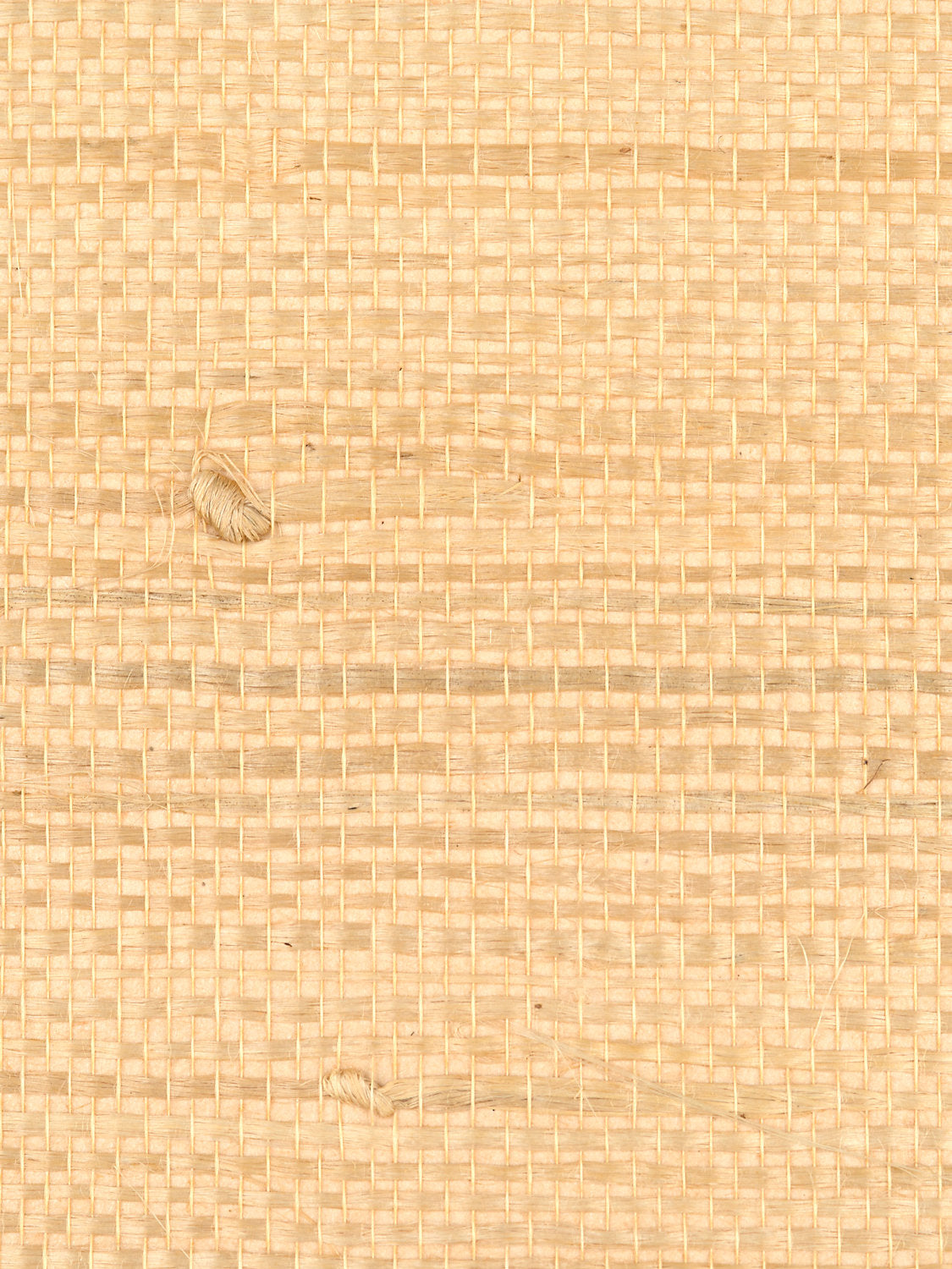 Justin Jute - Saffron