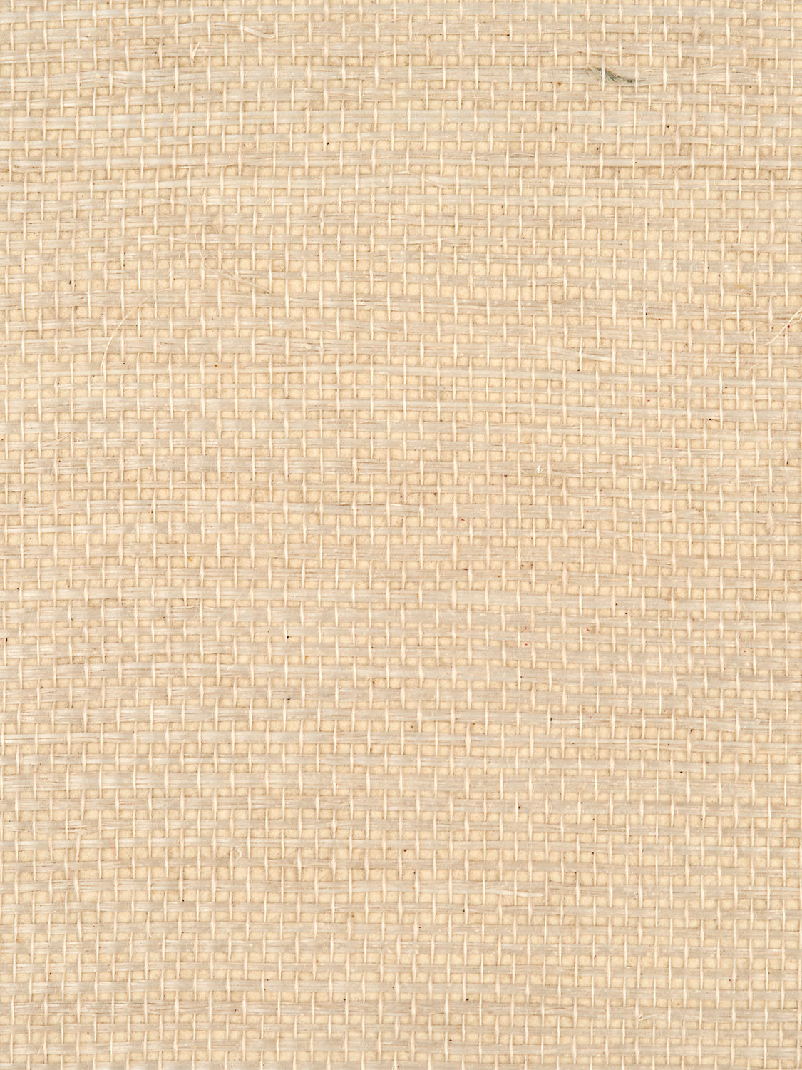 Simply Sisal - Cream - Scalamandre Wallpaper