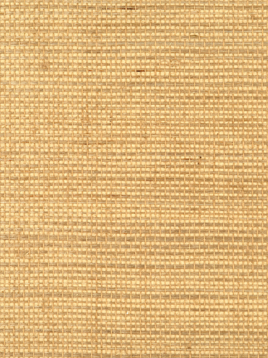 Simply Sisal - Custard - Scalamandre Wallpaper