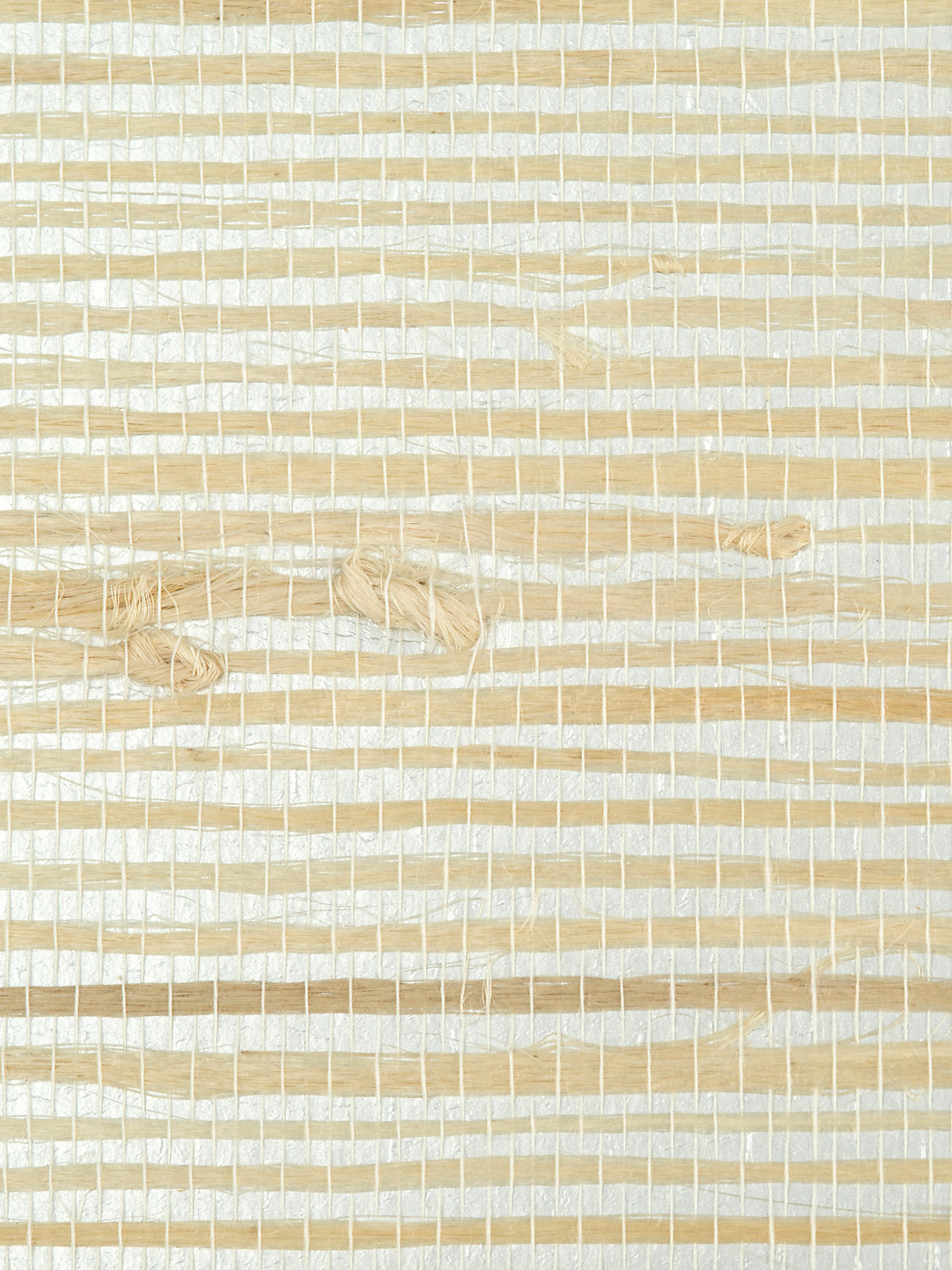 Sultry Grass - Silver - Scalamandre Wallpaper