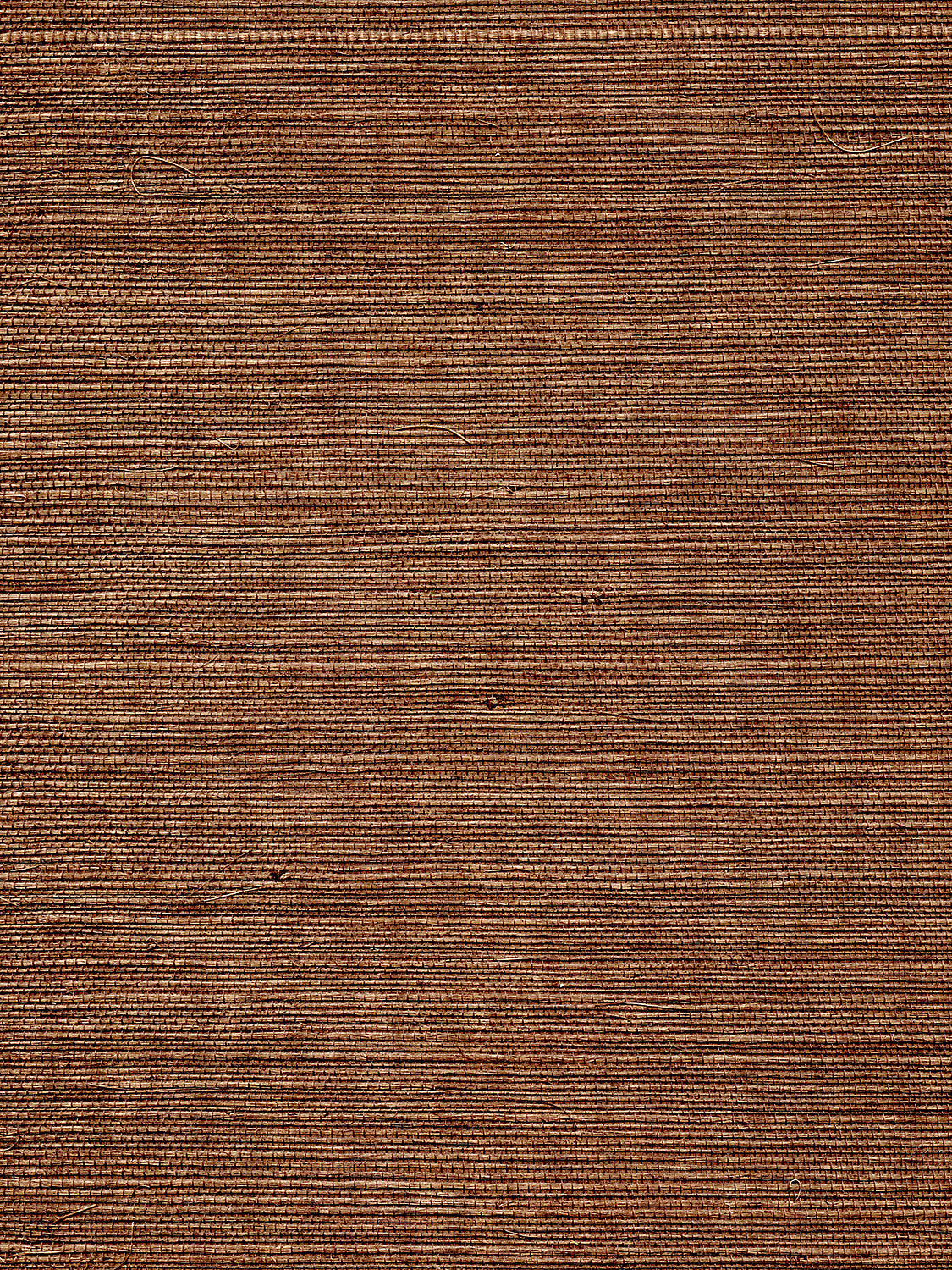 Organic Sisal - Brush