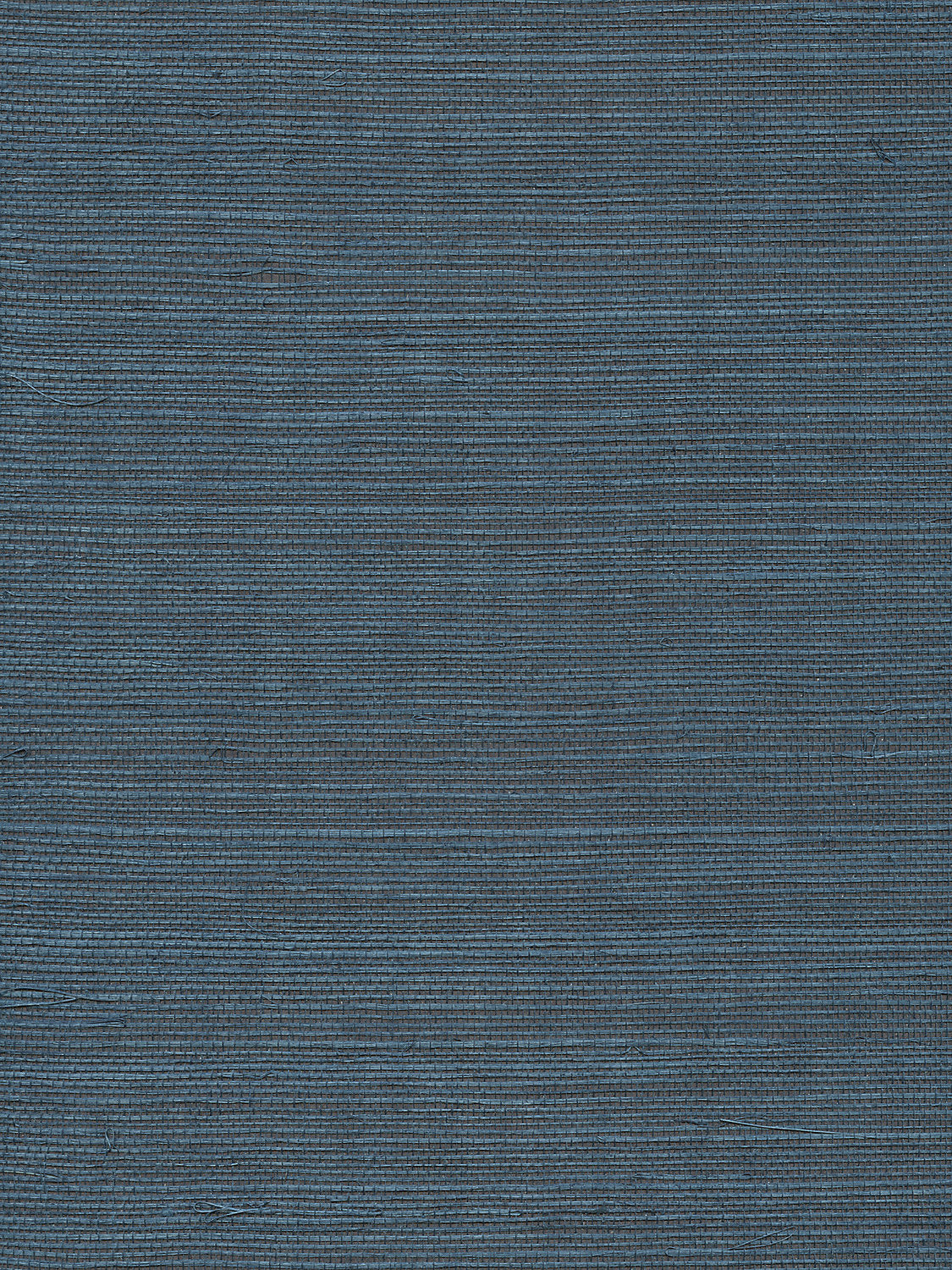 Organic Sisal - Peacock - Scalamandre Wallpaper