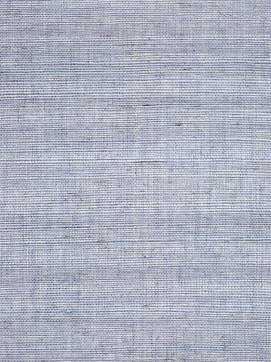 Organic Sisal - Sea Blue - Scalamandre Wallpaper