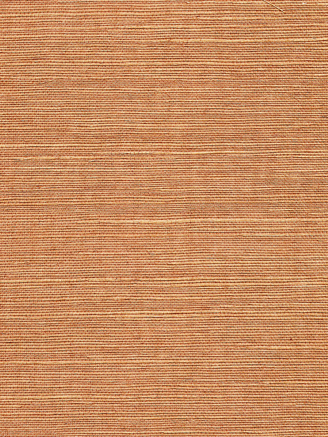 Organic Sisal - Java