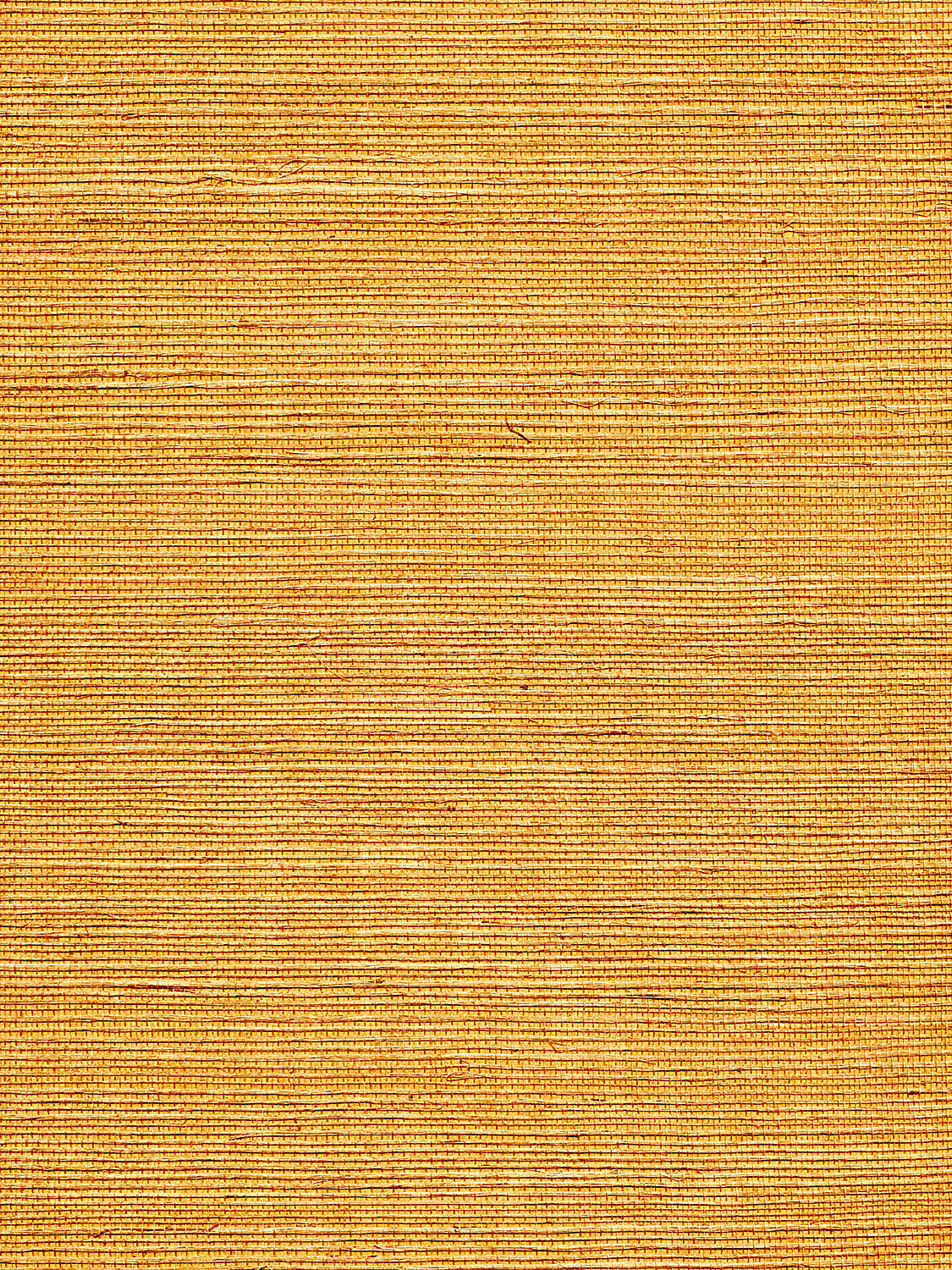 Organic Sisal - Sienna - Scalamandre Wallpaper