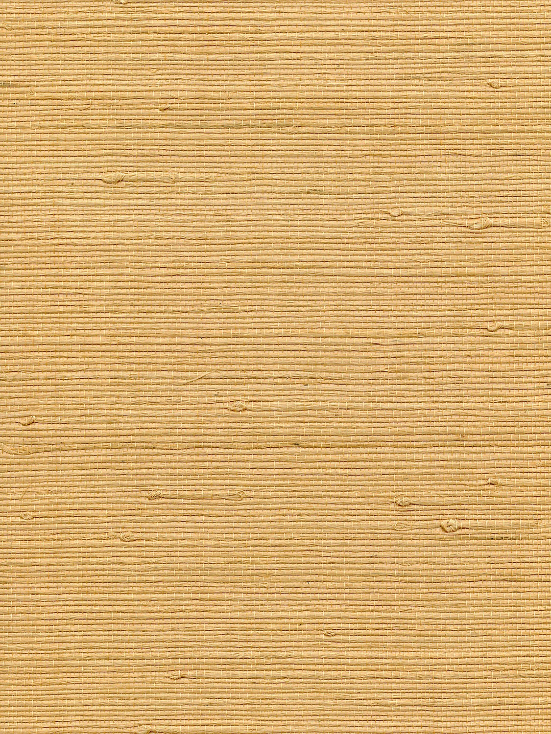 Organic Jute - Maize