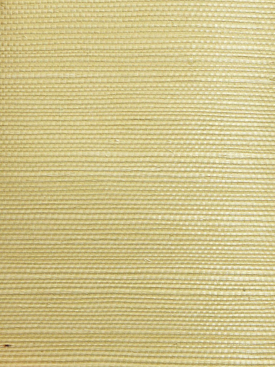 Organic Sisal - Leaf