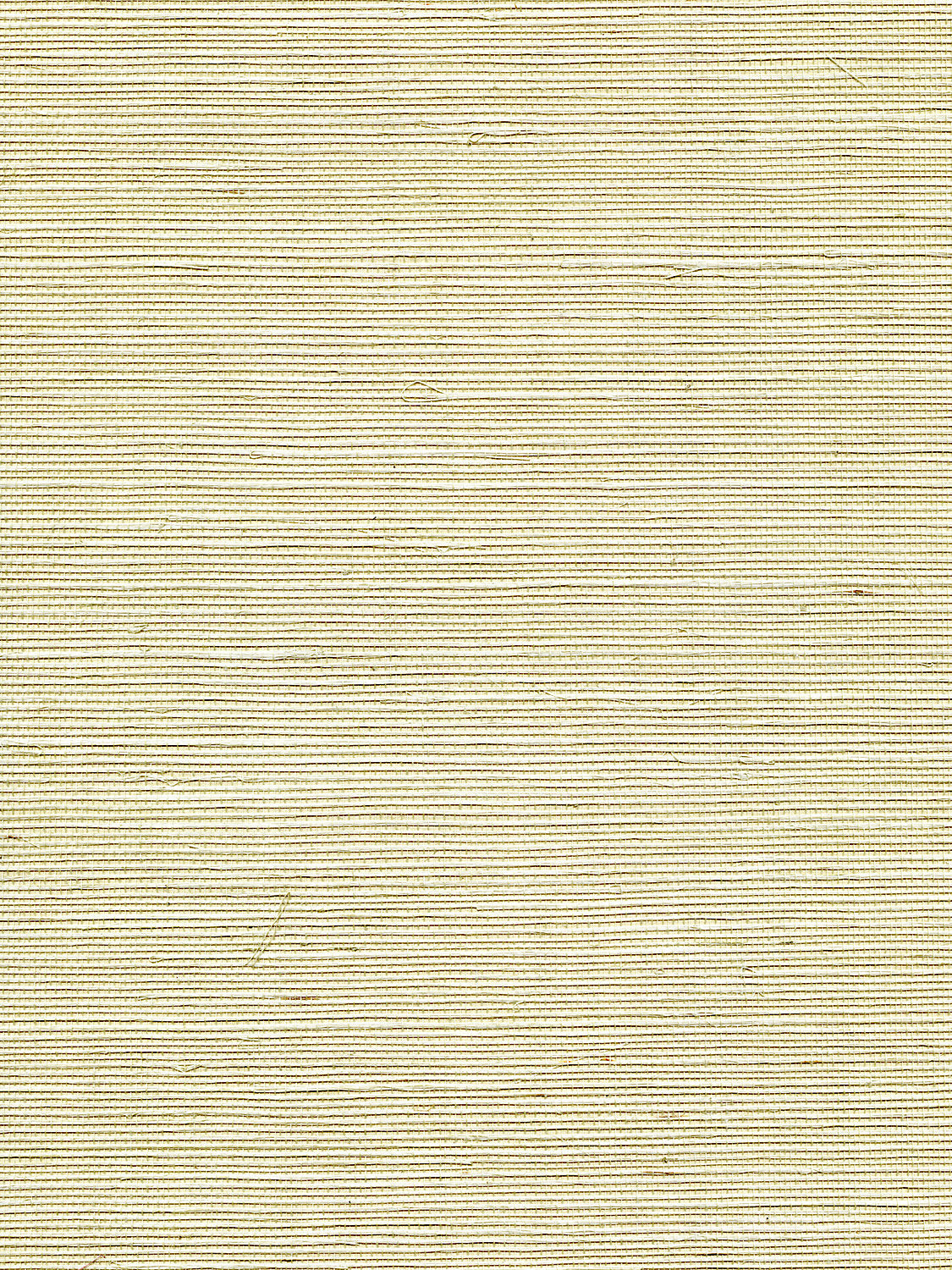 Organic Sisal - Sea Spray - Scalamandre Wallpaper