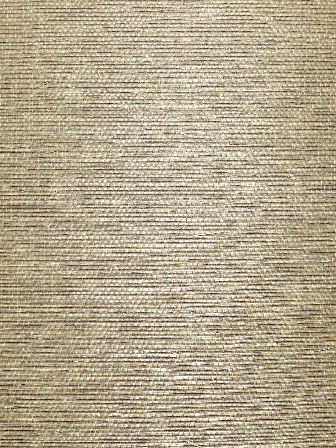 Organic Sisal - Cremini - Scalamandre Wallpaper