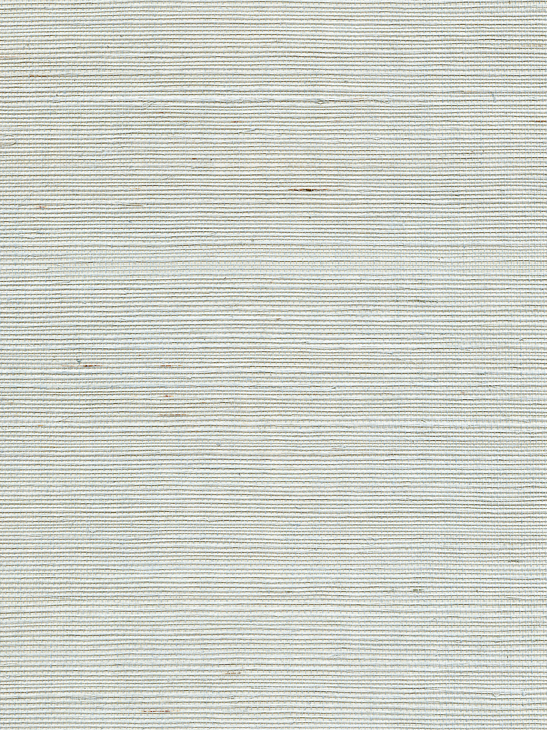 Organic Sisal - Refresh - Scalamandre Wallpaper