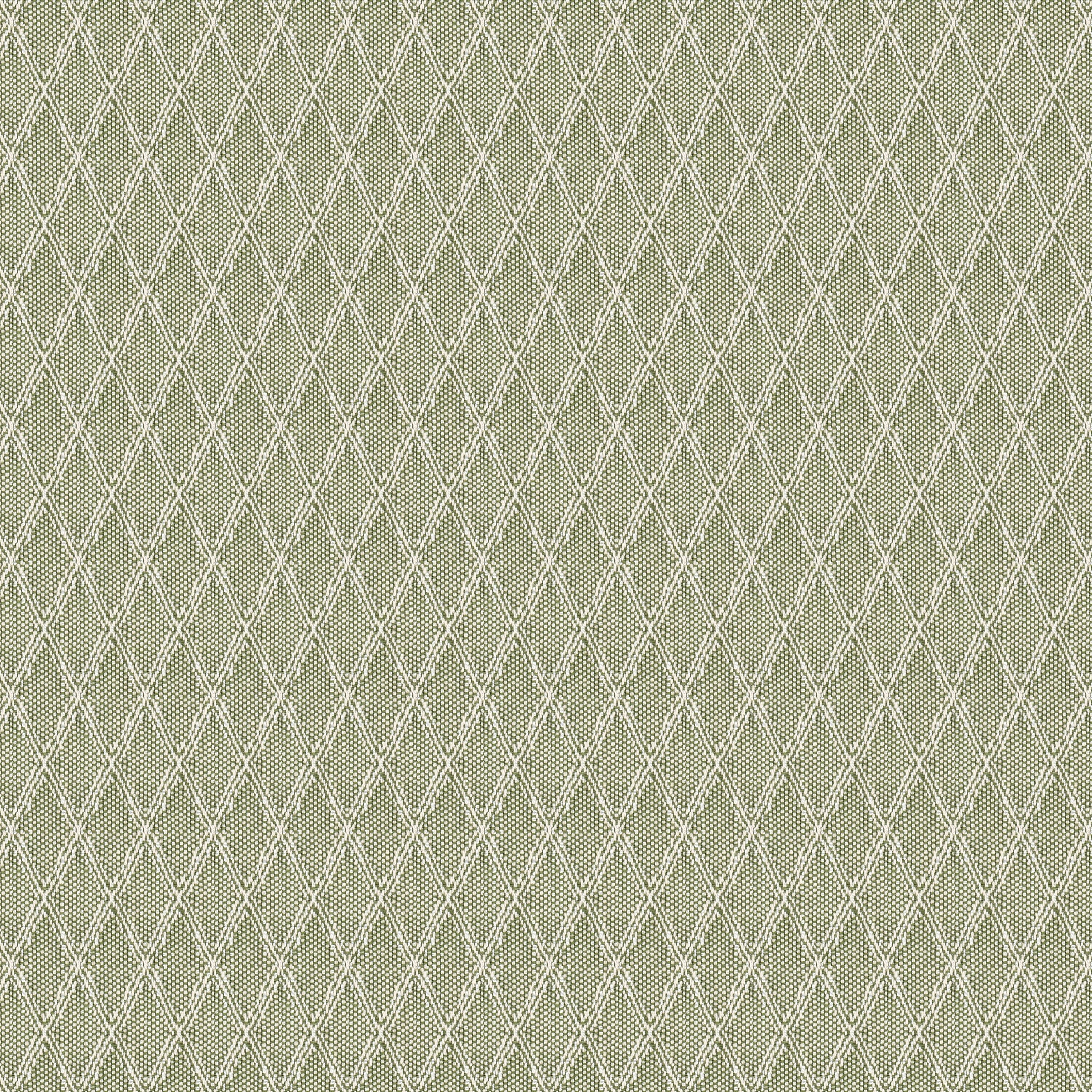 Wynnewood 2 Grass by Stout Fabric