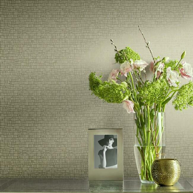 skin-wallpaper-light-grey-york-wallcoverings-y6230401