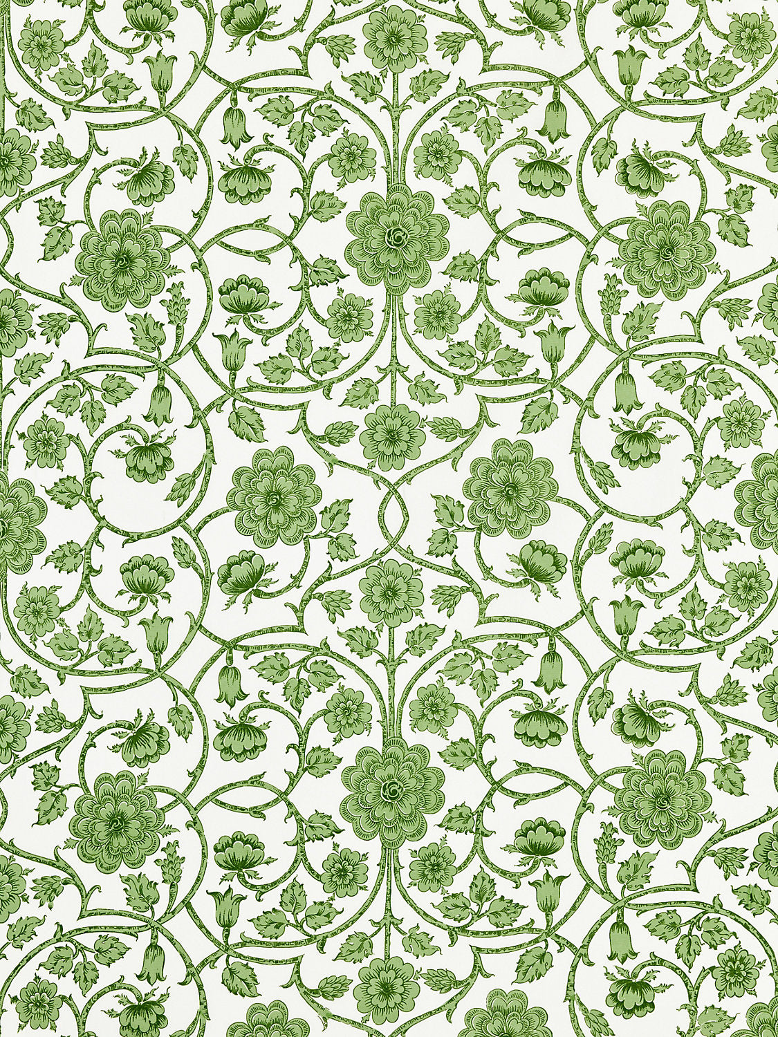 Ornamental Gate - Fern - Scalamandre Fabric