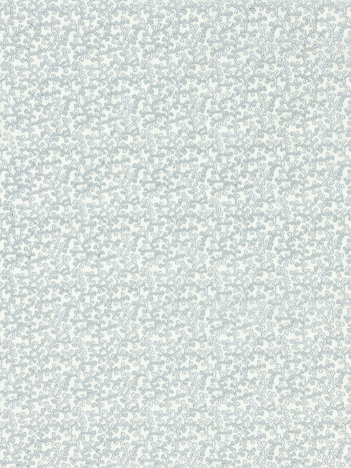 Hele Bay - Powder Blue - Scalamandre Fabric