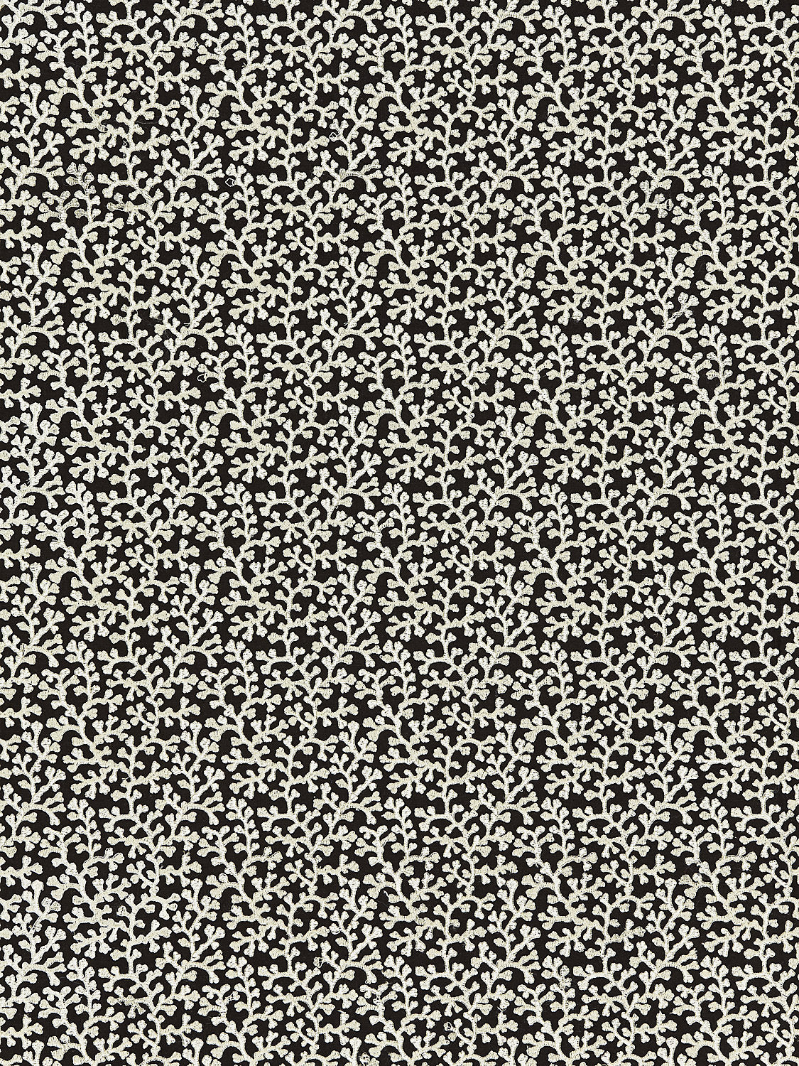 Hele Bay - Black - Scalamandre Fabric