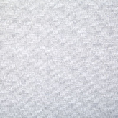Pindler Fabric AND061-GY01 Andrea Silver