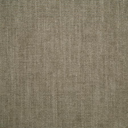 Pindler Fabric BAI012-BG01 Baines Driftwood