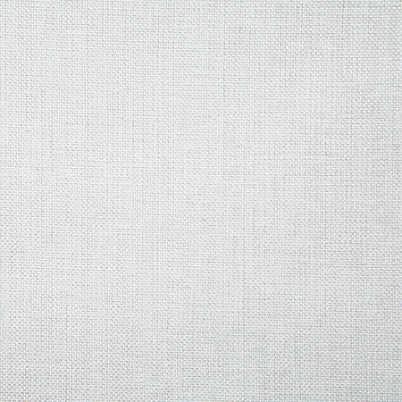 Pindler Fabric BAL063-WH01 Baldric Pearl