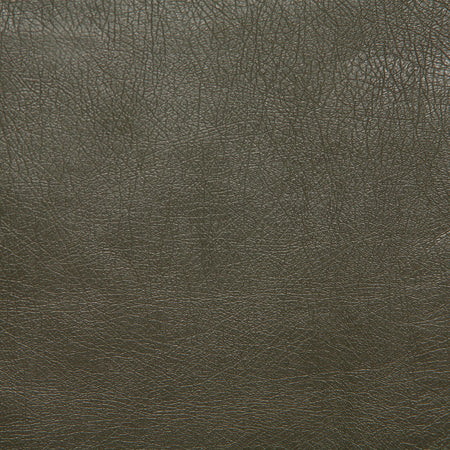Pindler Fabric BAR076-GY01 Barstow Greentea