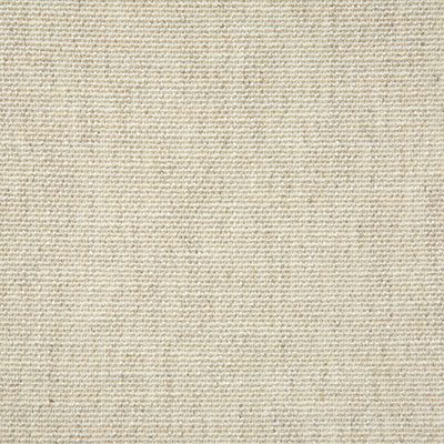 Pindler Fabric BAS033-BG01 Bastian Limestone