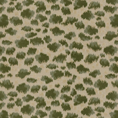 Brunschwig & Fils Fabric BR-89114.406 Zambezi Grospoint Moss