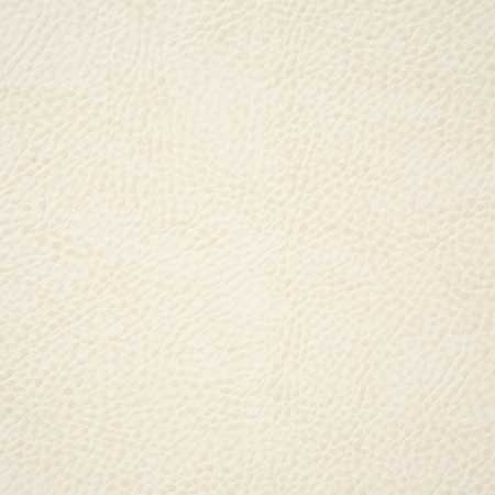 Pindler Fabric BUC020-WH01 Buckaroo White