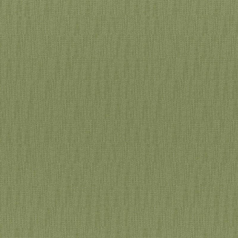 Maxwell Fabric CGL831 Chico Aloe